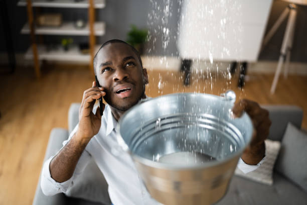 Best Professional water damage repair  in Petersburg, IL