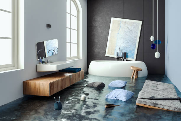 Best 24/7 water damage repair  in Petersburg, IL