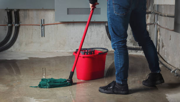 Best Water damage restoration insurance claims  in Petersburg, IL