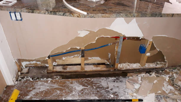 Best Carpet water damage restoration  in Petersburg, IL