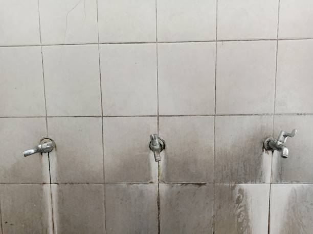 Best Water damage mitigation services  in Petersburg, IL