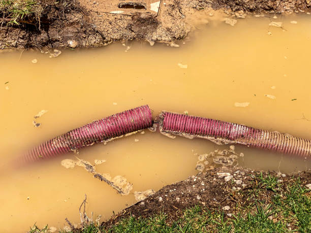 Reliable Petersburg, IL Water damage restoration Solutions